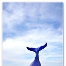 영흥보건지소 이미지