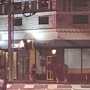 영천한의마을 한의마 이미지