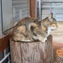 해로당 이미지