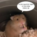 담아내다 | 내돈내산 후기: 진심을 담아내다 고기장인 서교점의 실속보따리 솔직 리뷰