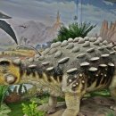 덕소자연사박물관 이미지