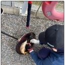 하늘낚시공원낚시터 이미지