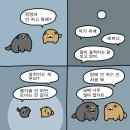 순진한 강아지 이미지