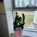 정은플라워