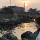 휘소가치 이미지