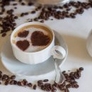 바비 애견샵 이미지