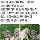 아싸 이미지