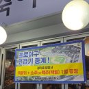 뒷고기광장 | [두류역/광장코아] 숙이네 막창 뒷고기 솔직후기