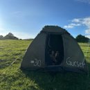 돈돈농장 | [세계일주] 탄자니아 세렝게티 3박 4일 사파리 투어(비추)