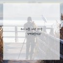 우리아로마