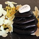 이호석한의원 이미지