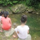 야생초마을아미골 이미지