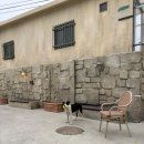 UR(강릉시)-[주문로]-상-2 | 강릉 교동 유럽 감성 카페 그라우브 솔직 후기