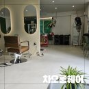 4단지카클리닉 | 일산미용실 주엽동미용실 차오룸헤어에서 카나토클리닉