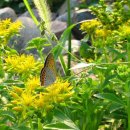 장수의 땅 그리고 이미지