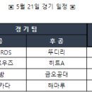 2023년 5월 21일 일요리그 6차전(vs 불나방) 후공 이미지