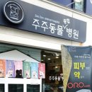 주주동물종합병원 이미지