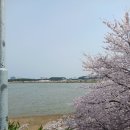 위촌1리 이미지