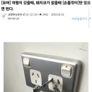 돼지코 - 홍천군 닭바위1길 69 | 돼지코