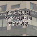 엔젤인어항 이미지