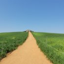 이박목장 이미지