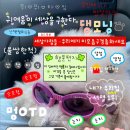 댕댕스토리 이미지