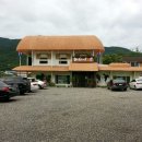 천년비법 옻닭 이미지