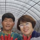 대명농산 네이버블로그