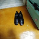 다람쥐신발나라 이미지