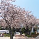 욕지면사무소 이미지