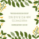 그레이스 고양이 병원 이미지