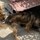 재왕 농장 이미지