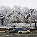 설화 이미지