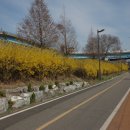 개나리공원2 이미지