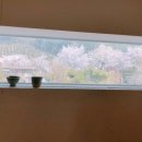 도자기카페D토 이미지