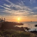 성산파출소5가 3 | 제주한달살이 게하스텝자리구하기 팁과 질문들