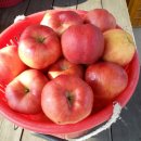 사계절팬션민박 이미지