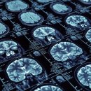 반야월로 이미지