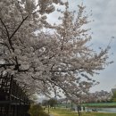 논현2동-16 | W9 결혼준비 중간 점검 타임(W스퀘어컨벤션)