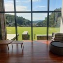 트리인(TREEIN) 이미지