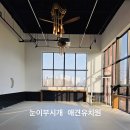 눈이부시개 이미지