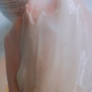 카앤닥터 이미지