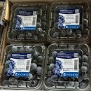 🍎아이브릭스-엔비 사과🍎, 칠레 생블루베리🫐 이미지