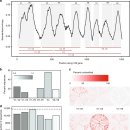 microbiomics ... 16S rRNA gene sequencing 박테리아 유전체 분석 2019 nature 이미지