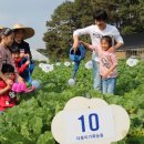 다둥이농장 이미지