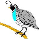 디자인클립 이미지