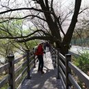 송잠마을경로당 | 금산 보곡산골 자진뱅이길, 신안사. 3