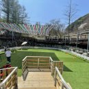 휘바핀란드위드플레이정글 이미지