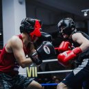 태풍복싱체육관 이미지