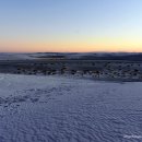 화이트파크 이미지